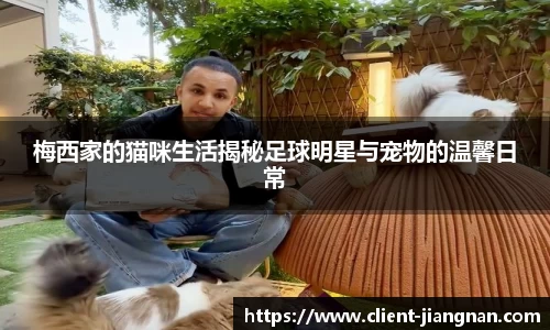 梅西家的猫咪生活揭秘足球明星与宠物的温馨日常